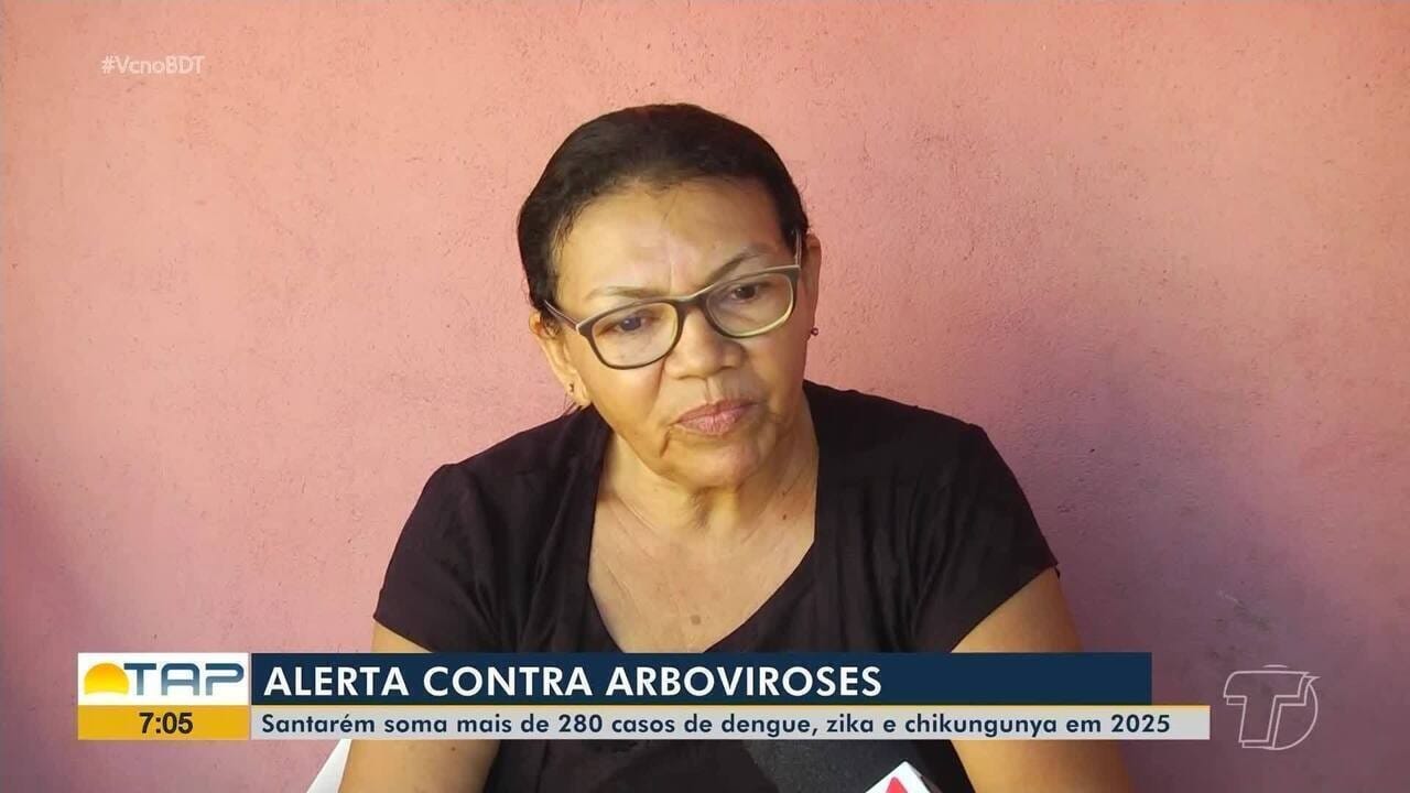 Risco de proliferação do Aedes aegypti em Santarém durante as chuvas