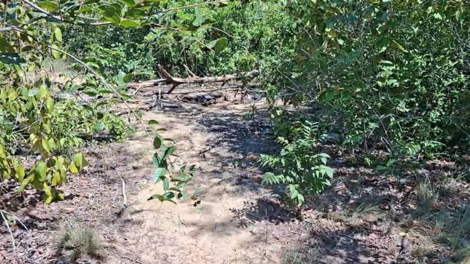 Corpo encontrado em estado de decomposição na região do Eixo Forte em Santarém