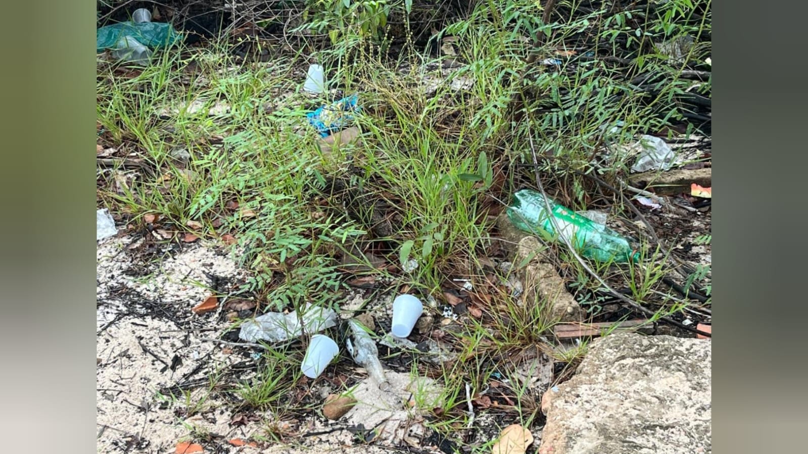 Desafios do Descarte irregular de lixo em Alter do Chão