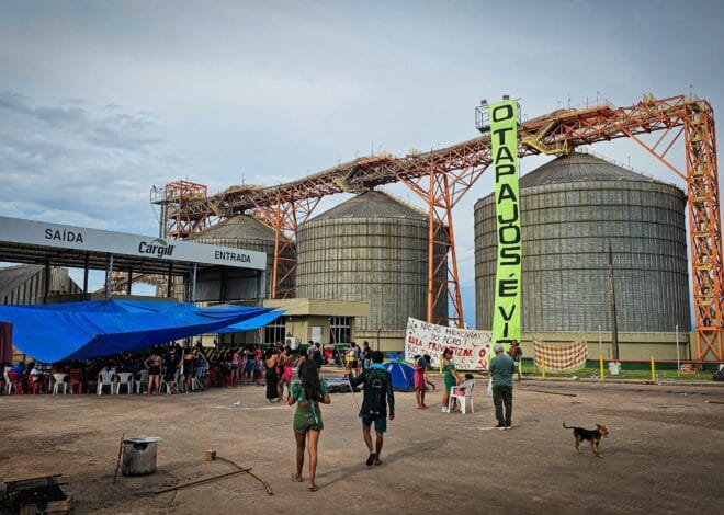 Indígenas se mobilizam contra dragagem do rio Tapajós no Pará