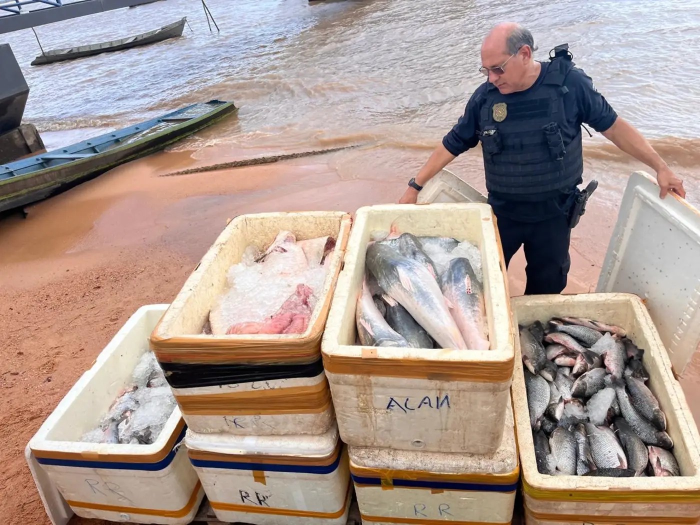 Apreensão de Mais de meia tonelada de pescado na Base Candiru em Óbidos