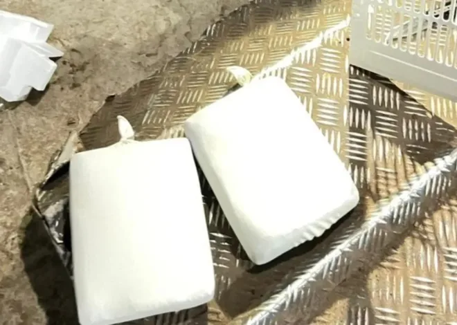 Apreensão de skank em Óbidos: operação fluvial eficaz