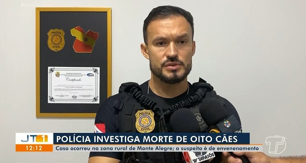 Polícia investiga morte de oito cães com suspeita de envenenamento em Monte Alegre