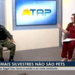 Criação ilegal de animais silvestres: riscos e penalidades