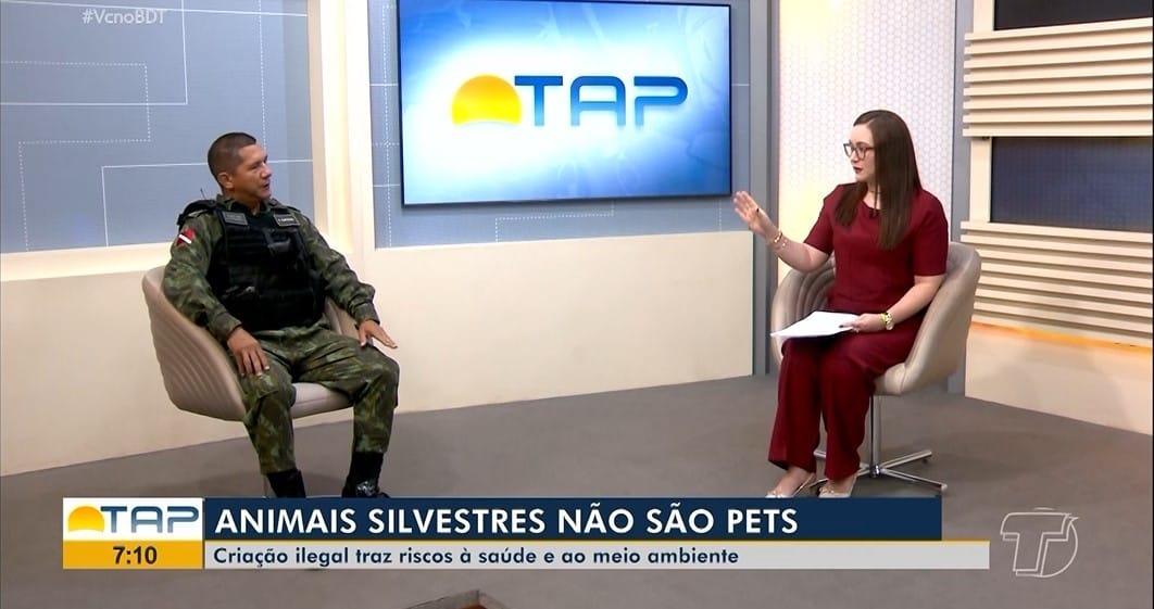 Criação ilegal de animais silvestres: riscos e penalidades