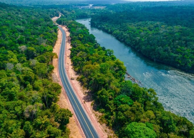 Demarcação de terra indígena no Planalto Santareno