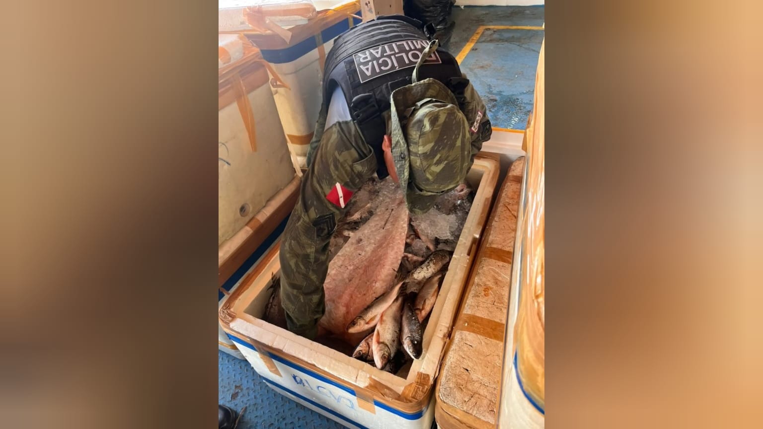 Apreensão de pirarucu em fiscalização fluvial em Óbidos