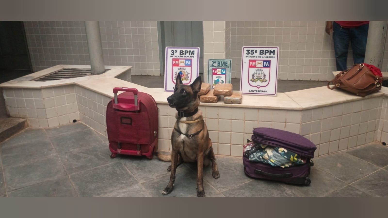 Apreensão de drogas em embarcação em Santarém