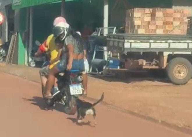 Casal arrasta cachorro em moto em Santarém
