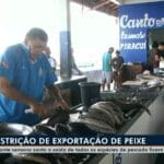 Liberada a Pesca de Oito Espécies em Santarém Após o Período de Defeso
