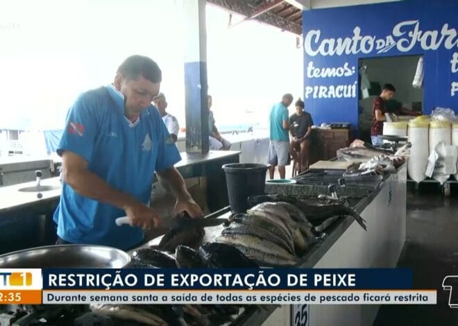 Liberada a Pesca de Oito Espécies em Santarém Após o Período de Defeso